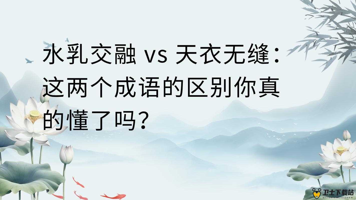 水乳交融和天衣无缝的区别分析及二者在不同情境中的应用探讨